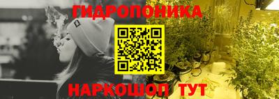 шишки Бузулук