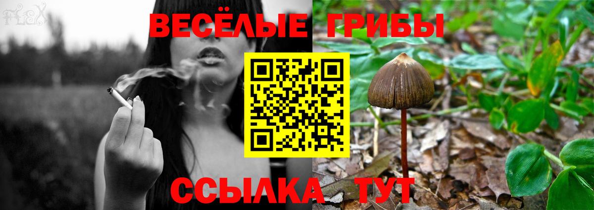 Галлюциногенные грибы GOLDEN TEACHER Кувандык